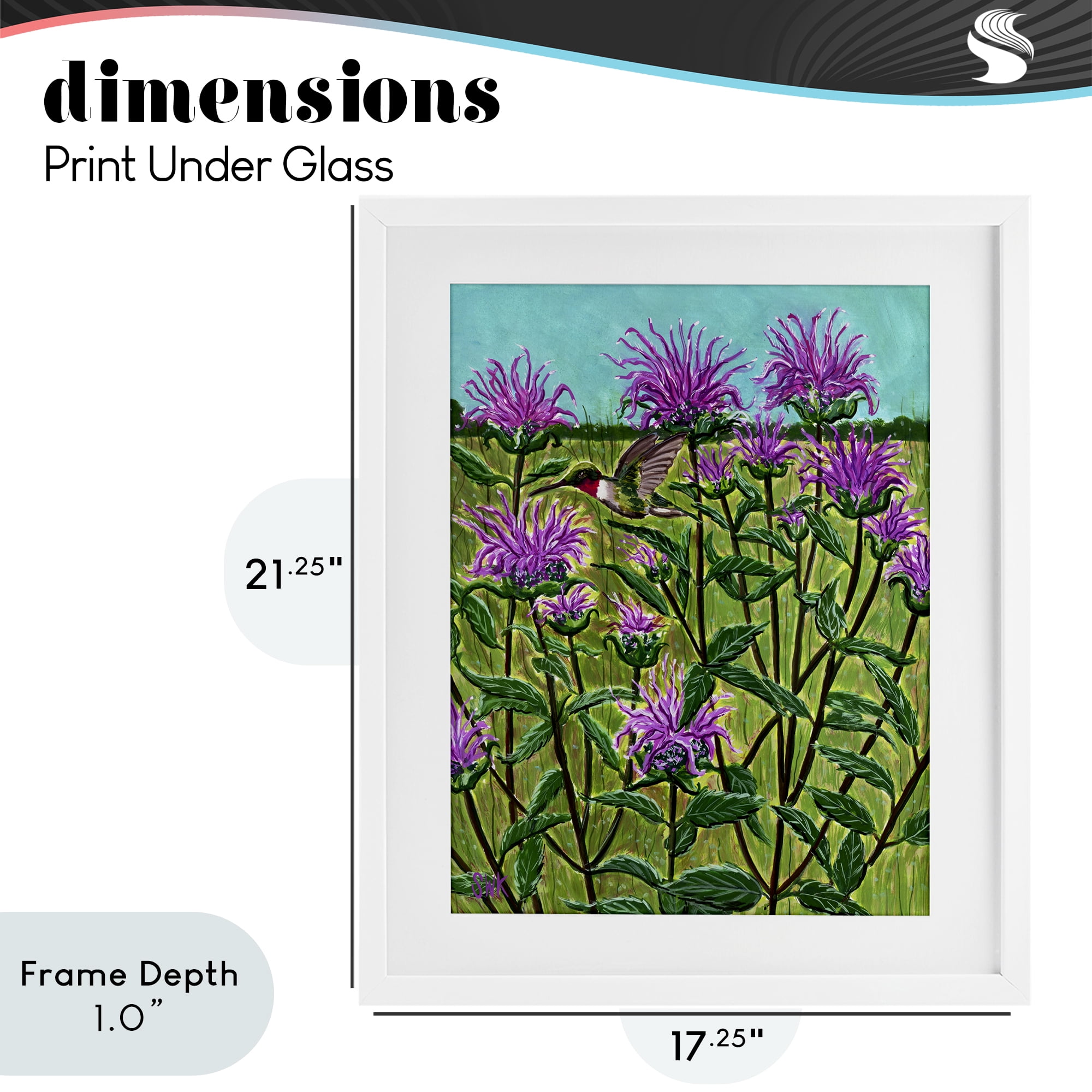 Stupell Industries Ruby Throated Hummingbird & Beebalm White Framed Print Under Glass, design by Sarah Waldron Kimball