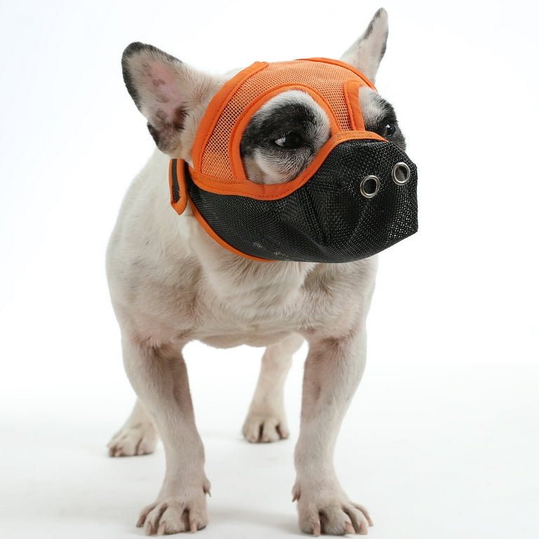 Dog muzzle clearance for barking walmart