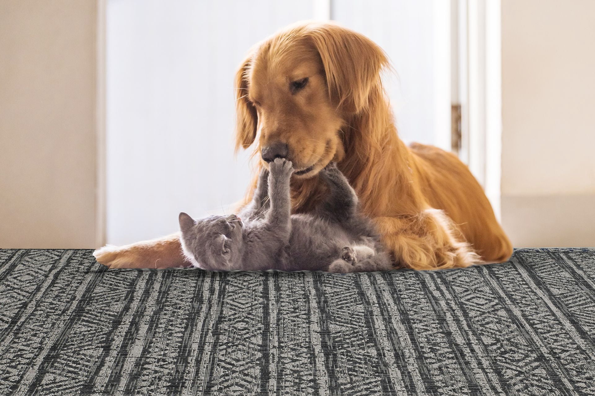 FH Home Flat Woven Outdoor Rug - Waterproof, Easy to Clean, Stain resistant - Premium Polypropylene Yarn - Striped Boho -Patio,Deck,Porch,Balcony, Laundry Room - Amman - Charcoal - 6' x 9'