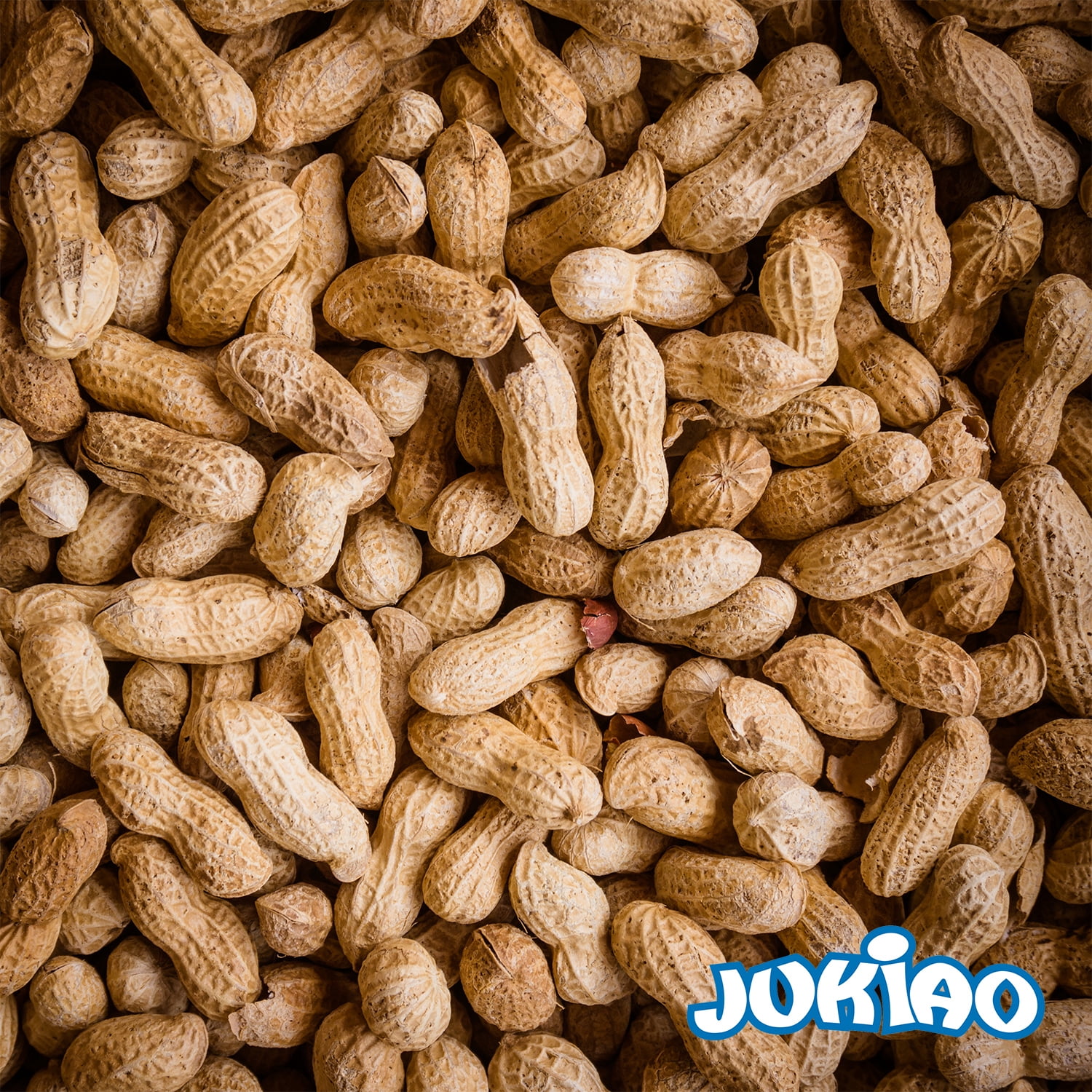 Jukiao Roasted Peanuts In Shell Gluten-Free Vegan Non-GMO 5 oz