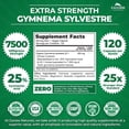 thumbnail image 2 of Zazzee Naturals Gymnema Sylvestre 25:1 Extract | 7,500 Mg | 120 Servings | 120 Veggie Capsules, 2 of 2