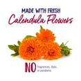 thumbnail image 6 of Boiron Calendula Ointment, Homeopathic Medicine for First Aid, Cuts, Scrapes, Minor Burns, Chapped Skin, 3 x 1 oz, 6 of 7