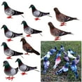 thumbnail image 1 of Pájaros Realistas Estatuillas Y Estatuas - Juguete Para , Ornamentos De Decoración De Interiores Libre, Pájaros Realistas Modelo De Jugue DYNWAVEMX Pájaros artesanales con plumas, 1 of 8