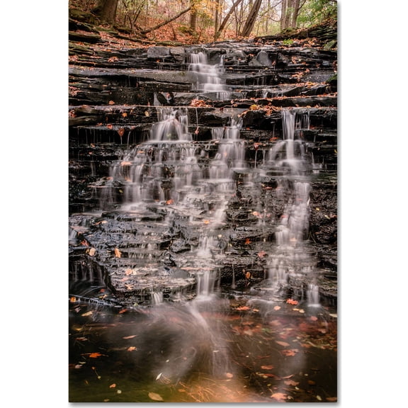 Trademark Fine Art "Hidden Falls" Canvas Art by Jason Shaffer