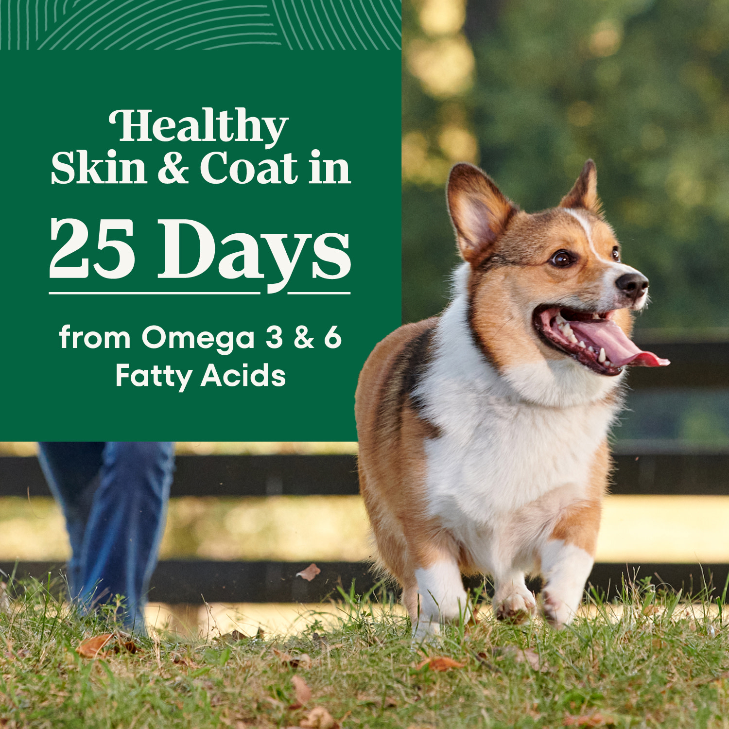 NUTRO Natural Choice Small Breed Senior Chicken Dog Food photo 5