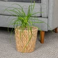 thumbnail image 3 of Household Essentials Handwoven Round Water Hyacinth Waste Basket with Plastic Liner, Natural, 3 of 7