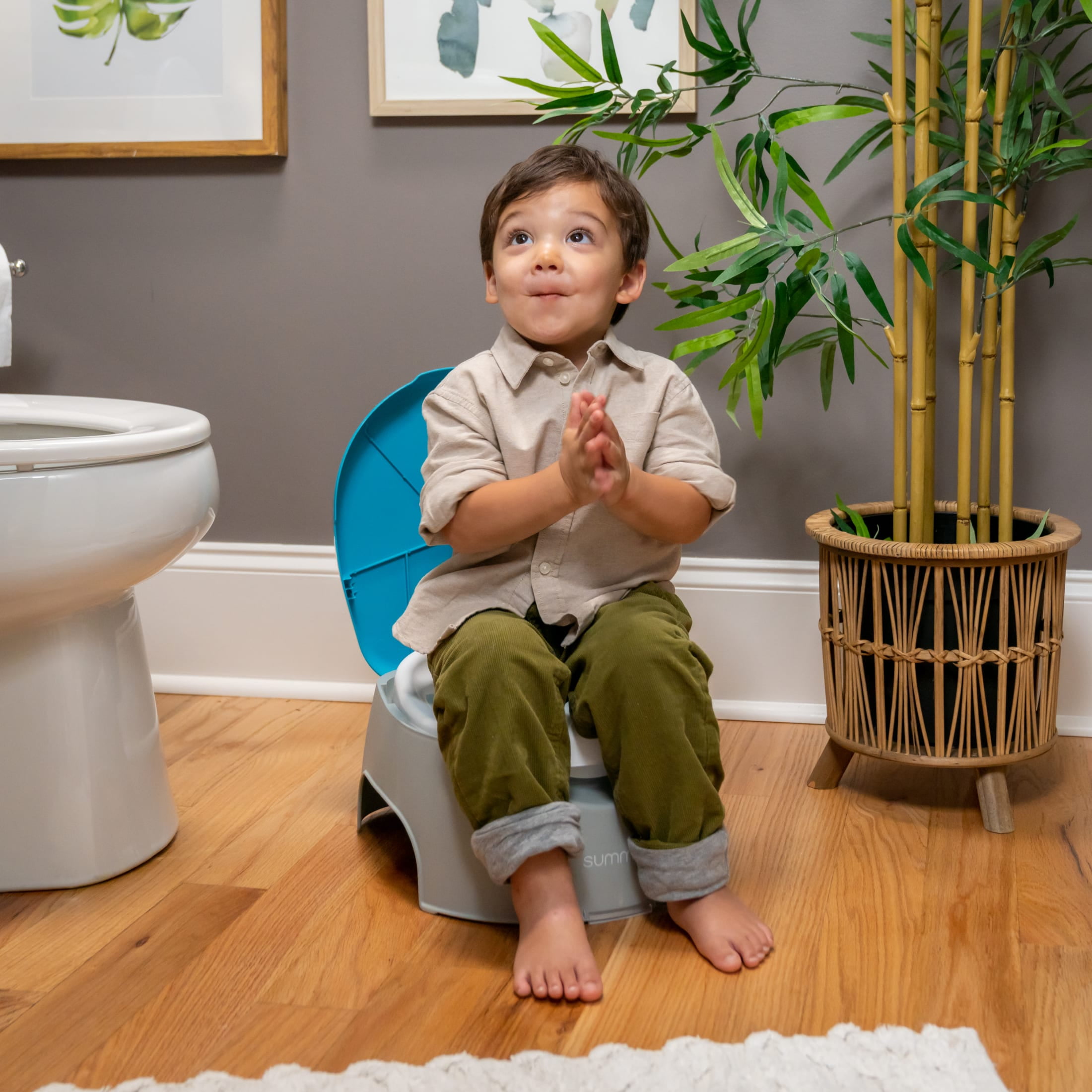 Summer 3-in-1 Train with Me Potty Training Toilet, Seat Topper and Stepstool, Travel Potty Seat for Toddler