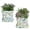 2PC-Flower1, variant on Printed Plastic Flower Pots with Drainage Hole and Tray Saucer, Planter Pots for Indoor Outdoor Garden Plants and Flowers, Modern Decorative Gift Idea 10*8.5cm,Set of 2pcs