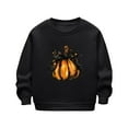 thumbnail image 2 of Bnwani Black Boys Sweatshirts Crew Neck Long Sleeve Fleece Casual Comfortable Print Size 0, 2 of 7
