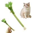 thumbnail image 7 of Realistic Celery Cat Chew Toy, Durable Felt Dental Teething Toy for Kittens & Aggressive Chewers, Interactive Catnip Toy for Indoor Play, 7 of 7