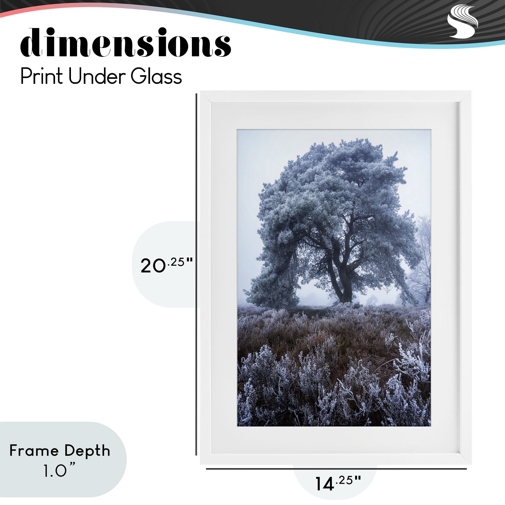 Stupell Industries Frosted Tree in Winter Mist White Framed Print Under Glass, design by Martin Podt