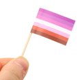 100pcs Dessert Sticks Rainbow Flag Sticks Party Fruit Toothpicks