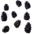 thumbnail image 4 of Rooms in Bloom 100% Natural Brown Cinnamon Scented Pine Cones, 4 of 5