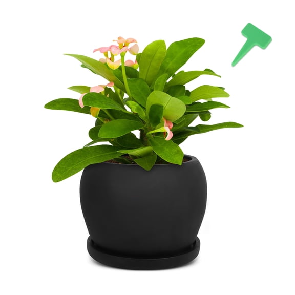 GROWNEER 6.7 Inches Black Cement Plant Pot Round Flower Planter with 15 Packs Plant Labels, Drainage Hole and Tray, for Indoor Plants, Succulents, Flowers, Herbs, Plants Not Included
