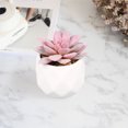 thumbnail image 4 of Artificial Flowers Table Garden Decoration Succulents Potted Placed 4PCS New Simulation Mini Plants-plastic Green Plants, 4 of 6
