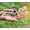 2, variant on 2Pcs Reptile Leash Harness for Lizard Gecko Turtle Outdoor Walking Strap Pet Leash for Small Exotic Pets Black