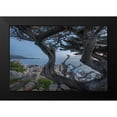 thumbnail image 2 of Fitzharris, Tim 14x11 Black Modern Framed Museum Art Print Titled - Pescdero Point-17-mile drive-Pebble-Beach-California-USA, 2 of 5