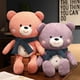 thumbnail image 2 of 60cm Cute Bear Doll / Scarf Teddy Bear Plush Toy / Ornaments / Children's Doll / Girl's Birthday Giftred60cm Deng Xun unisex, 2 of 2