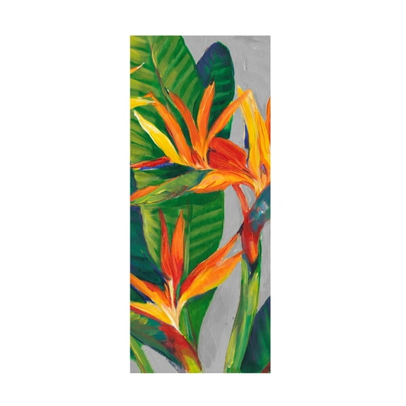 Trademark Fine Art Tim Otoole Bird Of Paradise Triptych Ii Canvas Wall Art - 20x47