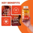 thumbnail image 6 of (3 pack) Vitamatic Turmeric Gummies with Ginger & Black Pepper Extract - 95% Curcuminoids - 60 Vegan Gummies, 6 of 12