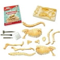 thumbnail image 4 of Science4You Kit de excavación de fósiles de Brachiosaurus para niños: excava y ensambla 11 piezas de kit de excavación de fósiles de dinosaurios dinosaurios para juegos infantiles, juguetes de dinosa, 4 of 5