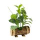 thumbnail image 1 of Plantas artificiales en macetas verdes con tronco de madera, bonsái en maceta. Estilo V, 1 of 7