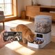 thumbnail image 4 of Comedero automático para perros y gatos: dispensador de comida inteligente con temporizador, control de porciones y videovigilancia., 4 of 6