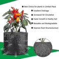 thumbnail image 4 of Perfect Planting Bag, 12 Liter Felt Bags Tomato Planting Bag, (5 Pieces)--, 4 of 4
