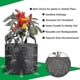 thumbnail image 4 of Perfect Planting Bag, 12 Liter Felt Bags Tomato Planting Bag, (5 Pieces)--, 4 of 4