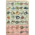 thumbnail image 1 of Laminated North American Snakes Educational Chart Print Poster 24x36, 1 of 4