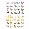thumbnail image 1 of Una variedad de pegatinas impermeables del programa de letras transparentes de la serie Butterfly, recortes para portátiles y equipaje de monopatín, 1 of 5