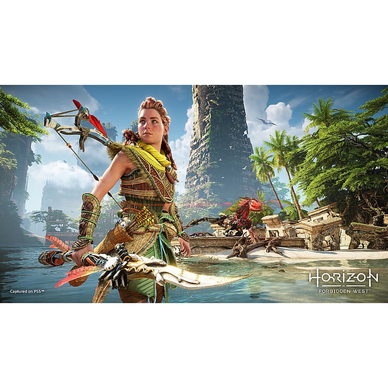 Sony Horizon Forbidden West Collector's Edition - Full Game for