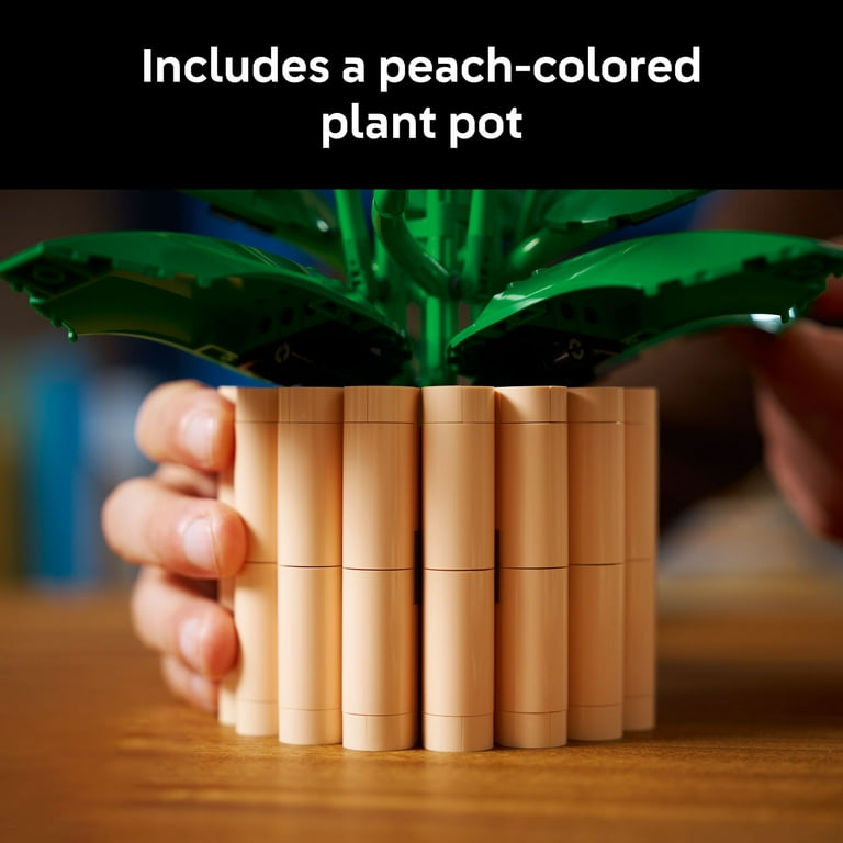 big potted plants The Big and Bright Duo Houseplants - Large (tall) Grow Pots