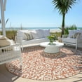 thumbnail image 6 of Addison Rugs Chantille Indoor/Outdoor Traditional Damask Coral Washable Round Rug, 8' x 8', 6 of 6