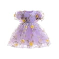 thumbnail image 1 of Odeerbi Niñas Verano Floral Encaje Bordado Vestido Princesa Vestido Niña Floral Ruffled Manga Corta Fiesta Cumpleaños Vestido, 1 of 3