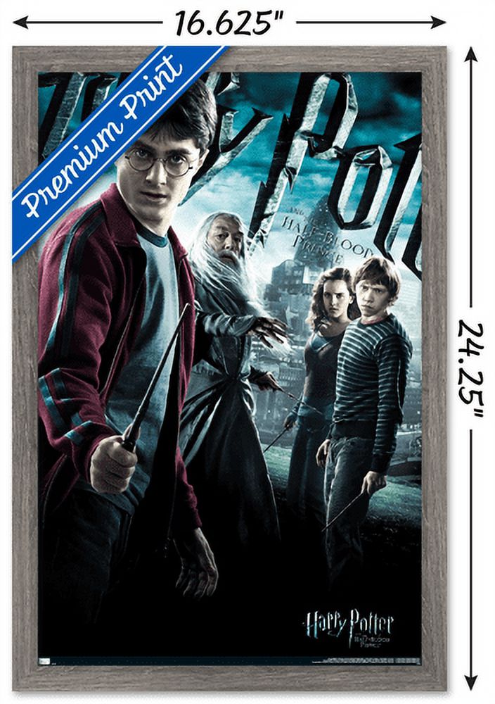 Harry Potter and the Half-Blood Prince - Group One Sheet Wall Poster, 14.725" x 22.375", Framed