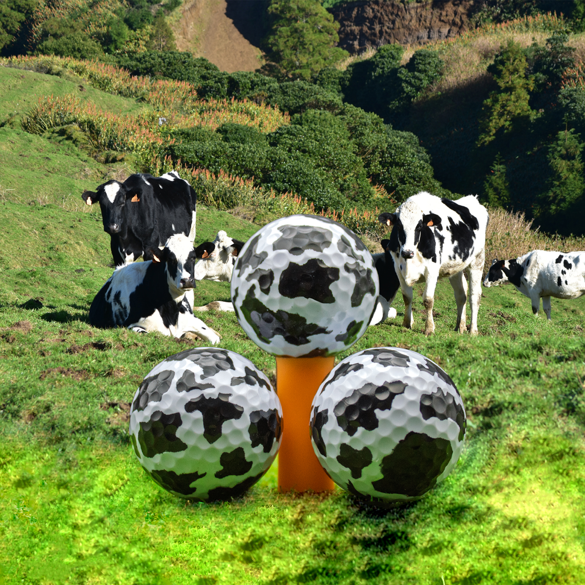 Cow Print Golf Balls, 12 Pack by GBM GOLF