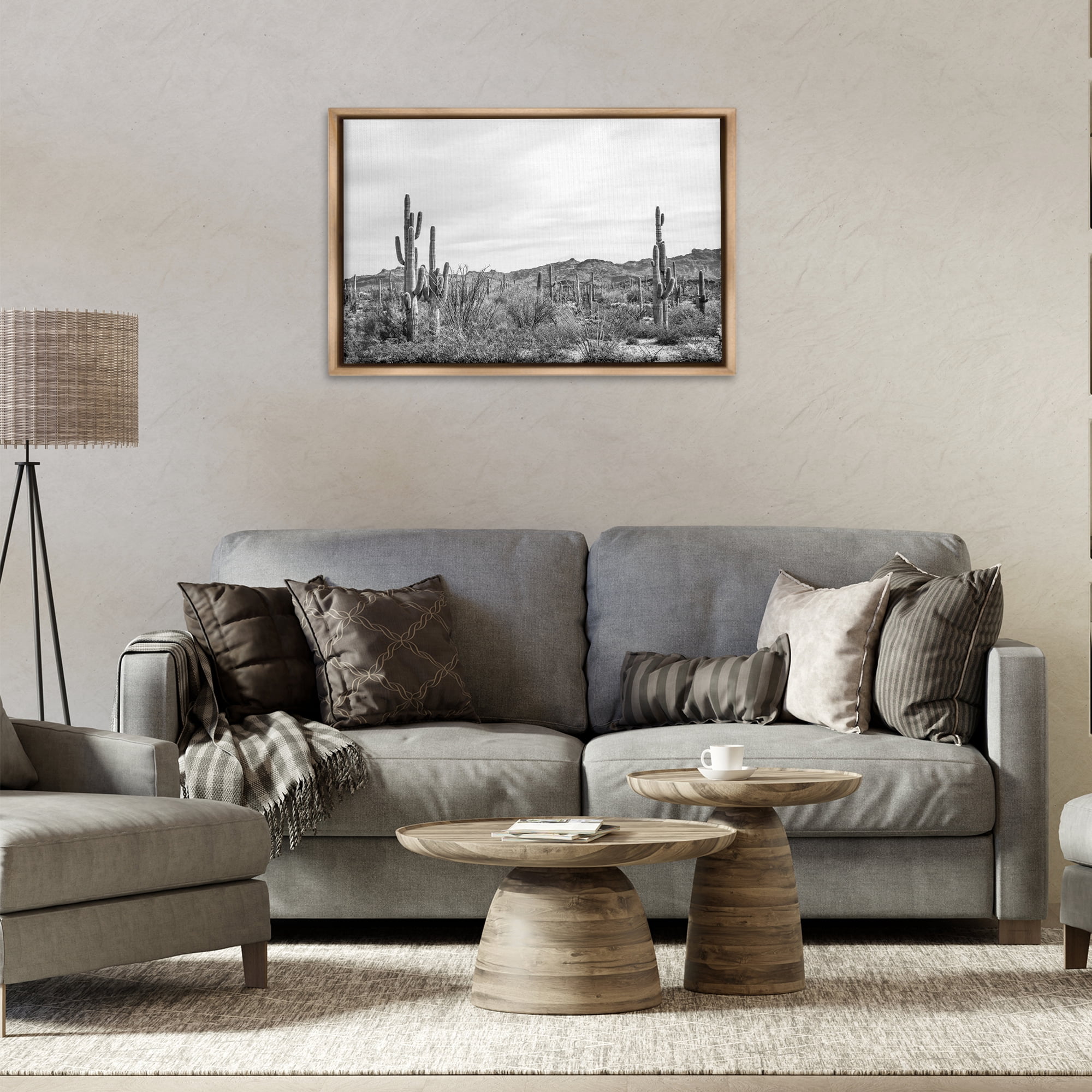 Stupell Industries Sonoran Desert Wonderland Landscape & Nature Photography Brown Floater Framed Canvas Art Print Wall Art, 31 x 21