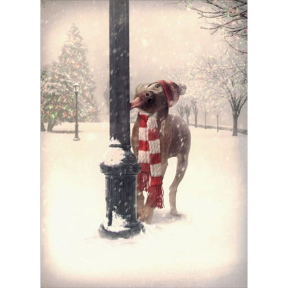Avanti Press Dog Tongue Stuck on Pole Funny / Humorous Christmas Card (1 card/1 envelope)