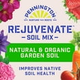 thumbnail image 4 of Pennington Rejuvenate Premium Natural and Organic Garden Soil, 1 cu ft., 25 lb., 4 of 11