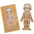 thumbnail image 3 of Tarjeta de Conocimiento del Cuerpo, ni?os, Madera, Cuerpo Humano, Estructura de órganos, cognición, Rompecabezas, Juguete, Juguetes educativos tempranos, Regalo para ni?os y ni?as(#1) Unbranded 2013200077211, 3 of 8