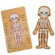 thumbnail image 3 of Tarjeta de Conocimiento del Cuerpo Spptty Madera Juguetes de bebé, 3 of 8