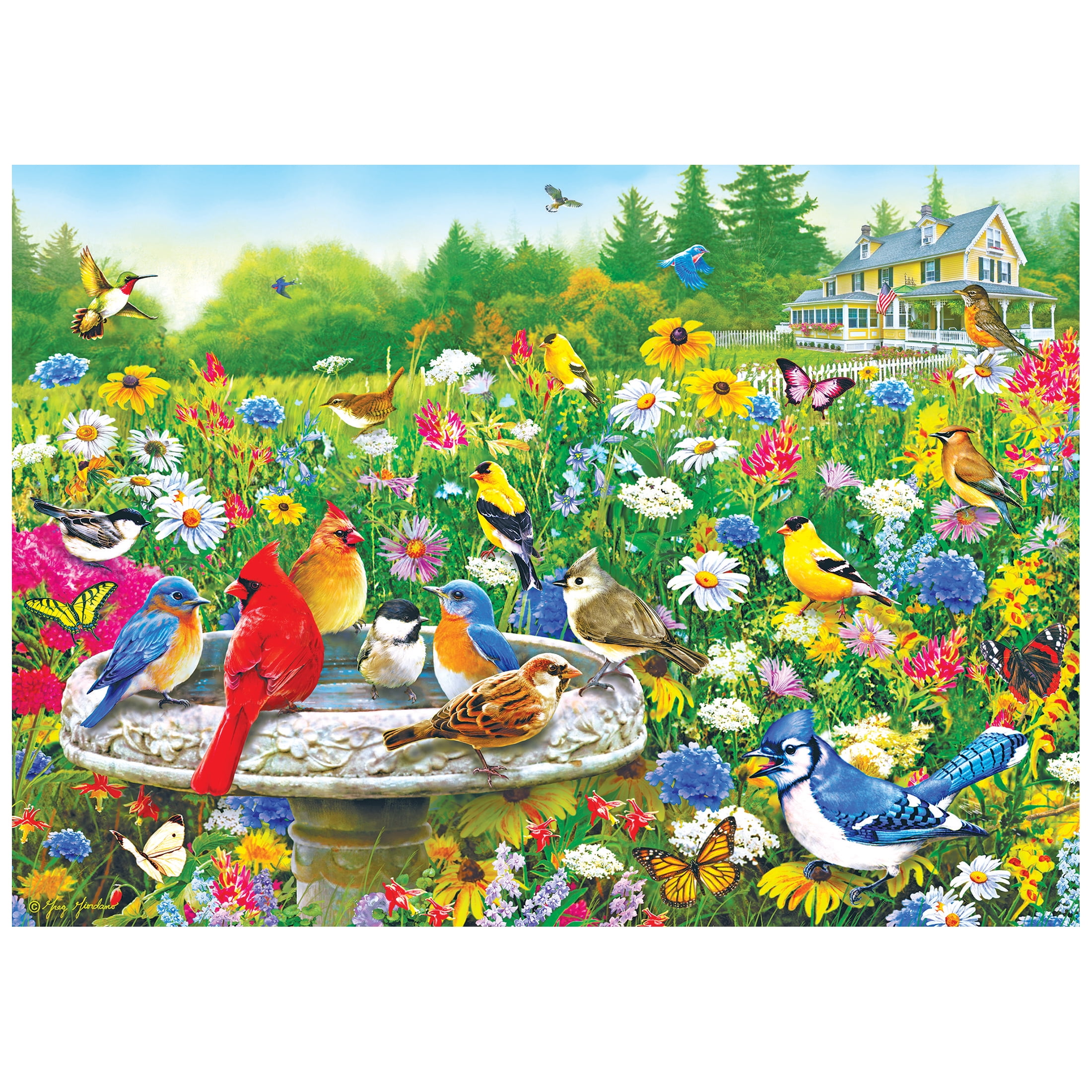 RoseArt - Colorluxe 1000 pièces - Oiseaux au bain d'oiseaux - Puzzle à emboîter pour adultes