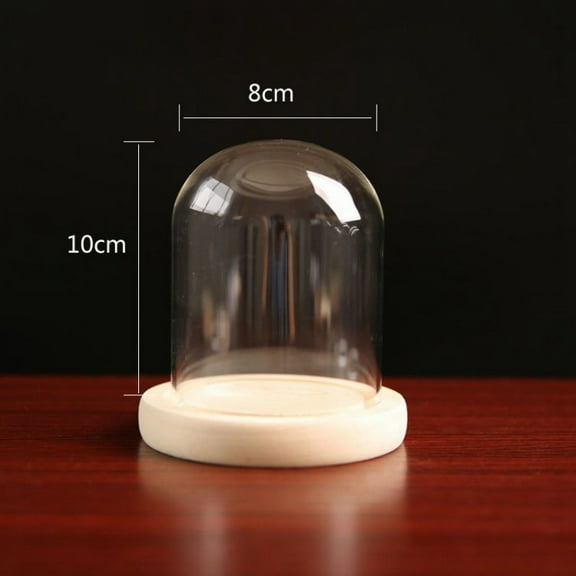 Glass Dome Cover Decorative Display Case Cloche Bell Jar Terrarium with Wood Base Clear 80x100mm