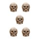 thumbnail image 3 of Calavera resplandeciente de Halloween Naiovety, 3 of 6