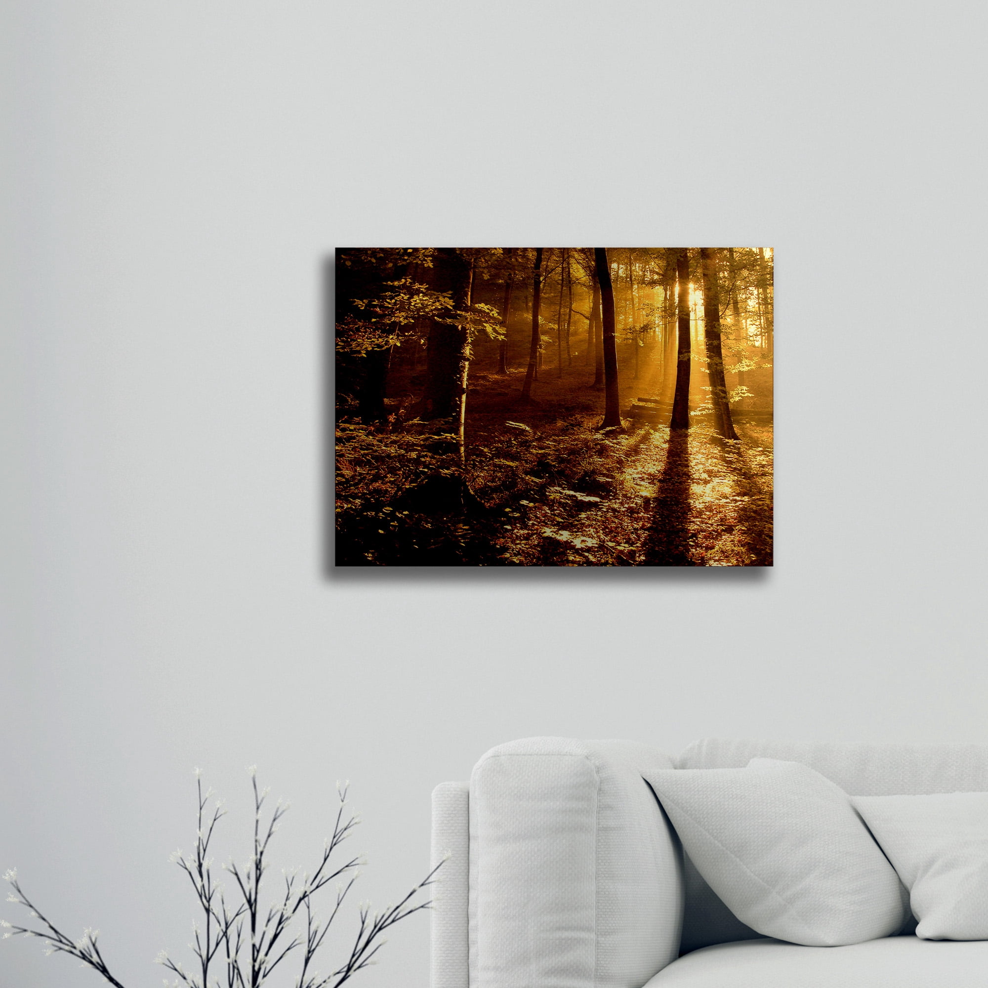 Trademark Fine Art 'Morning Light' Brushed Aluminum Wall Art Art by Philippe Sainte-Laudy