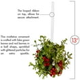 thumbnail image 4 of Ornativity Multi-color Plastic Mistletoe Ball Glitter Hanging Decorative Accent Ornament, with Berries 5", 4 of 8