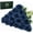 Navy Blue, variant on 16 Pcs Fake Gold Roses Artificial Flowers with Long Stems, Rose Bouquet Silk Faux Flowers for Valentines Wedding Party Vase Centerpiece Home Decor (Gold)
