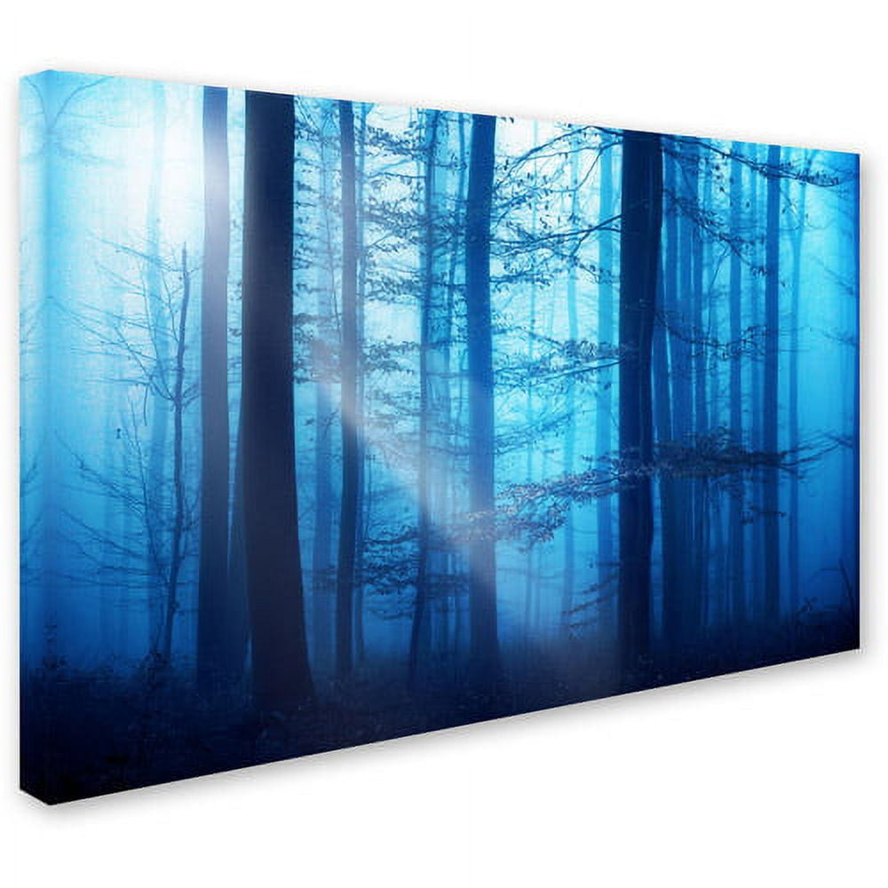 Trademark Fine Art "Light Box Blues" Canvas Art by Philippe Sainte-Laudy