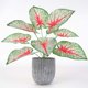 thumbnail image 4 of Planta artificial Hoja Oficina en casa Verdor Decoración Banquete de boda Planta falsa de plástico, Rojo, Tipo de hoja 1 Vogacara HA6782-01B, 4 of 6